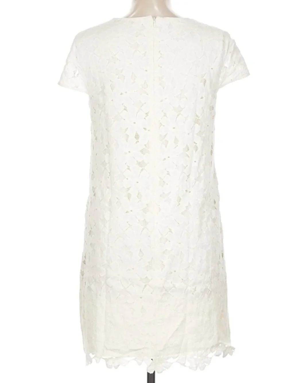 Cynthia Steffe White Lace Shift Dress – Size 12